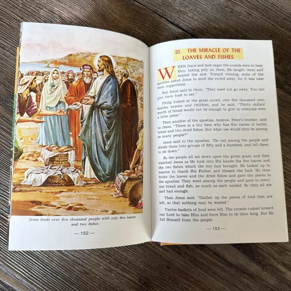 The New Catholic Picture Bible by Lawrence G. Lovasik (1990, Hardcover)